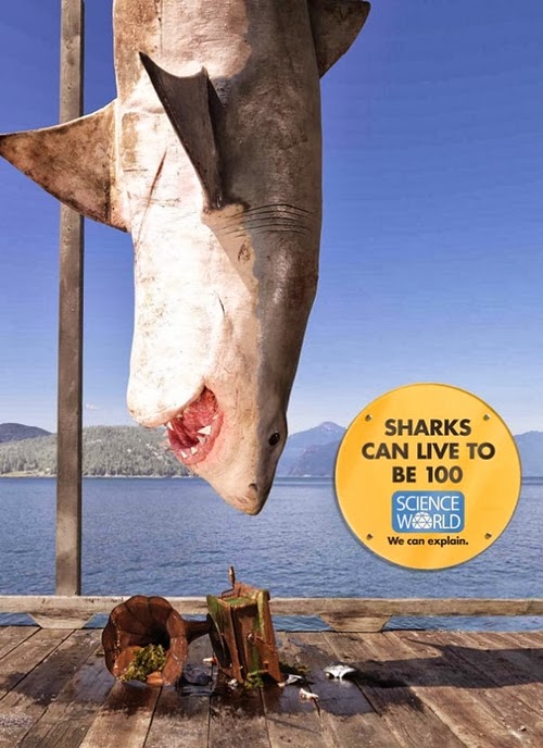 14-Shark-Science-World-Museum-Rethink-Canada-Billboard-Campaign-www-designstack-co