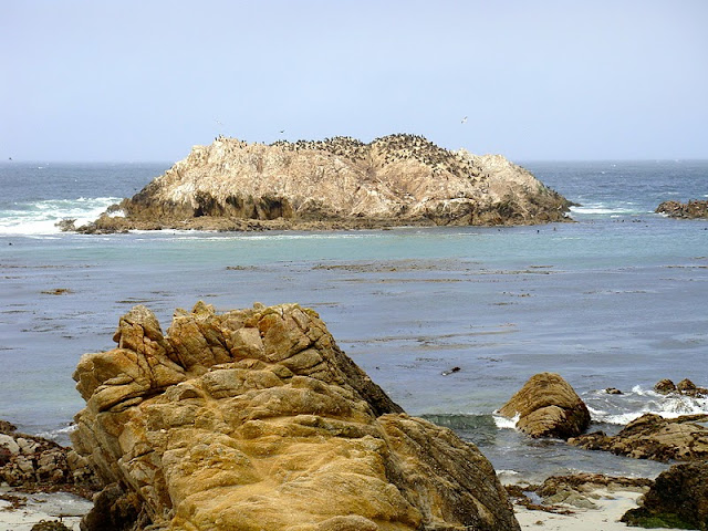 16º DÍA- SAN FRANCISCO- MONTEREY- CARMEL- STA. MARÍA - Costa oeste de EEUU y parques nacionales-2014 (6)