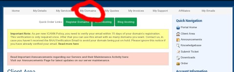Domainking.ng: How To Renew Your Domain Name