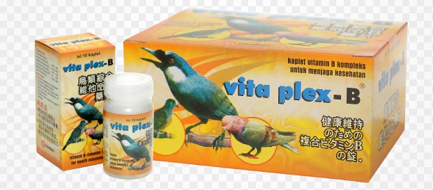 Manpaat Dan Harga Terbaru Vitamin B Untuk Burung Kicau Saat Ini