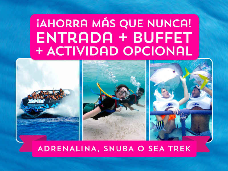 XelHá, consejos y Vive Mexico Hoy