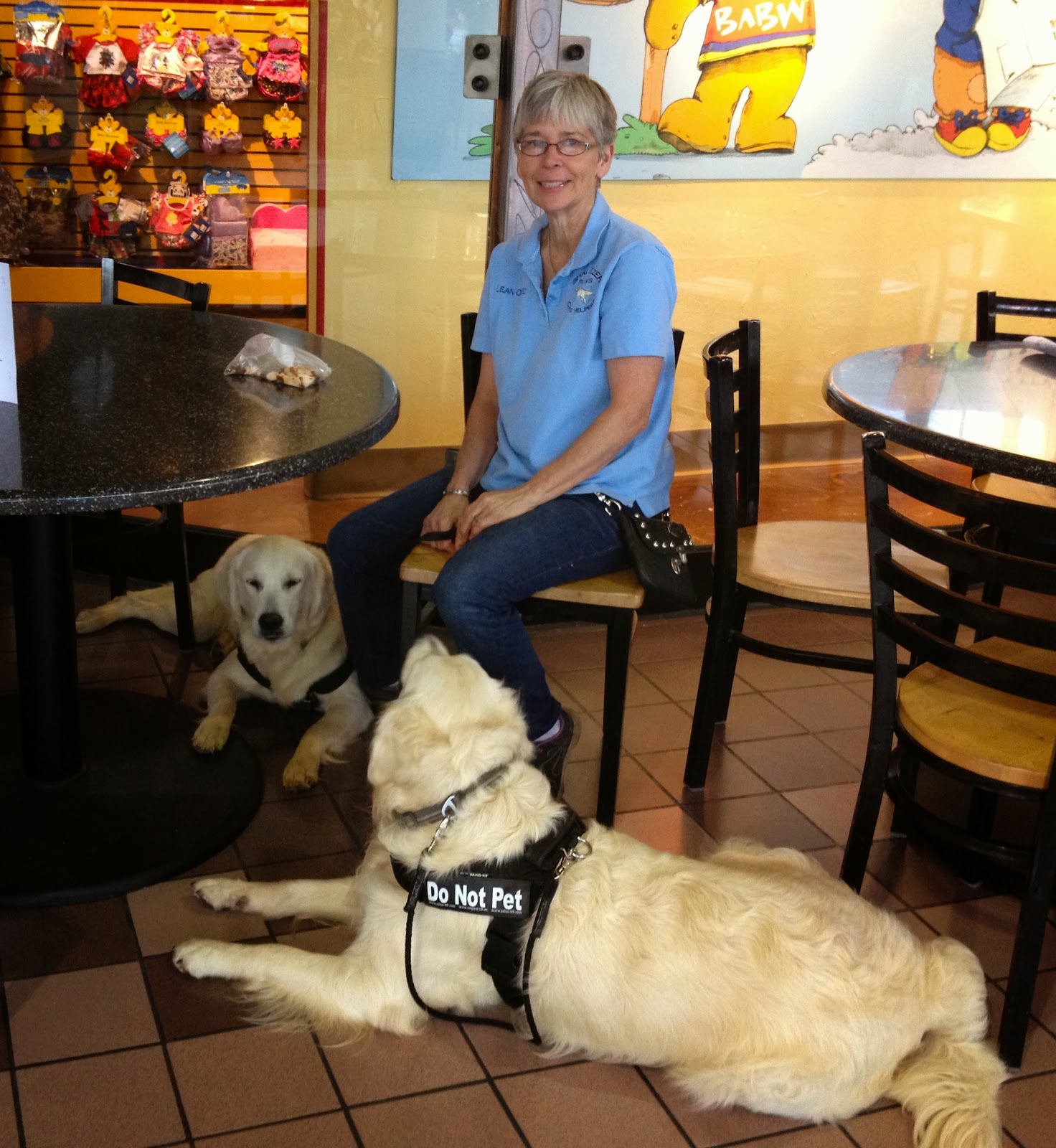 Access Training Public Access Training Dog