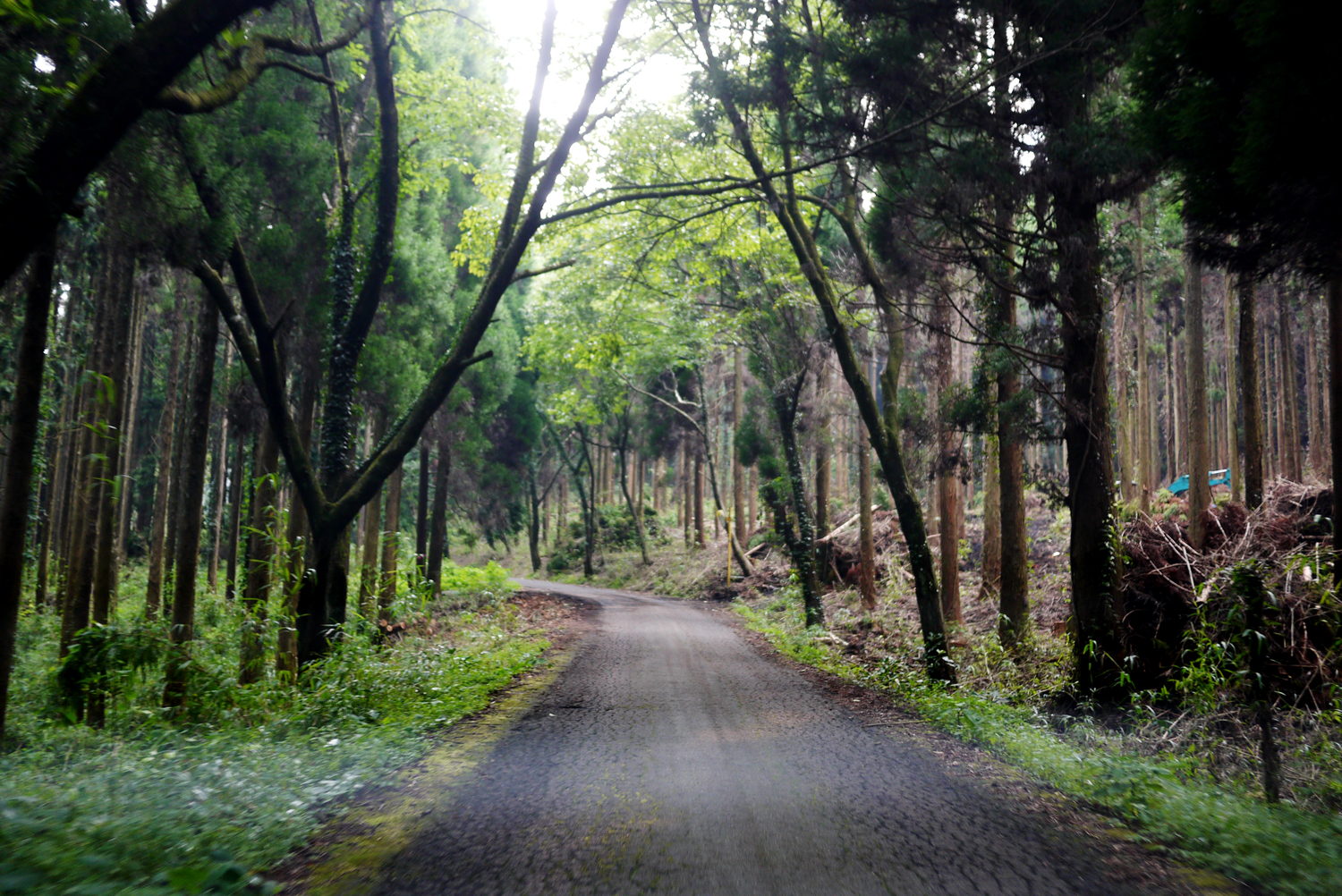 Peak Experience Outside is Free