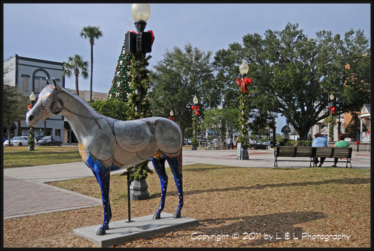 Ocala, Central Florida & Beyond Quarter Horse downtown square