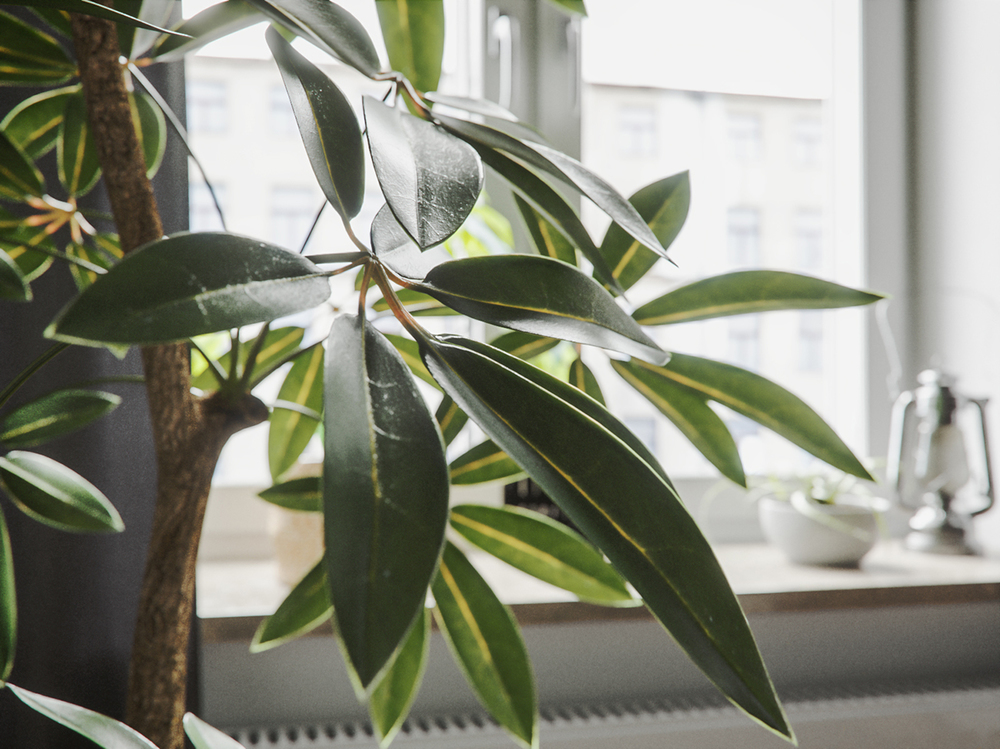 How to start to work with FStorm Render for 3ds Max CG TUTORIAL