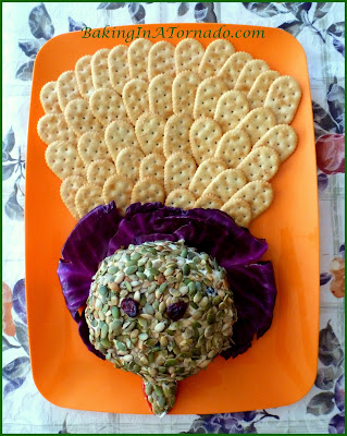 Thanksgiving Cheese Ball Appetizer: A make ahead cheese ball appetizer with all the flavors of fall. Easy and flavorful way to start your holiday meal. Serve with crackers, pretzels or crudites | Recipe developed by www.BakingInATornado.com | #appetizer #recipe #cheese