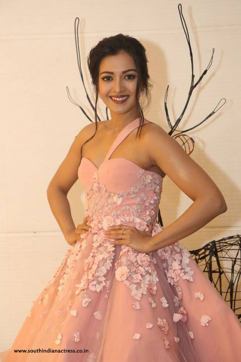 Catherine Tresa Stills At 64th Filmfare Awards 2017