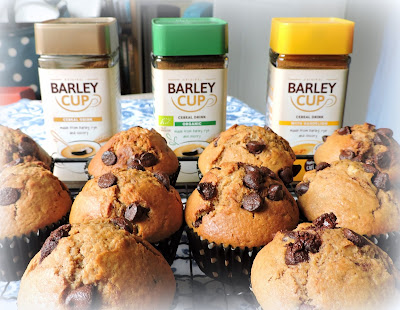 Barley Cup & Chocolate Chip Muffins