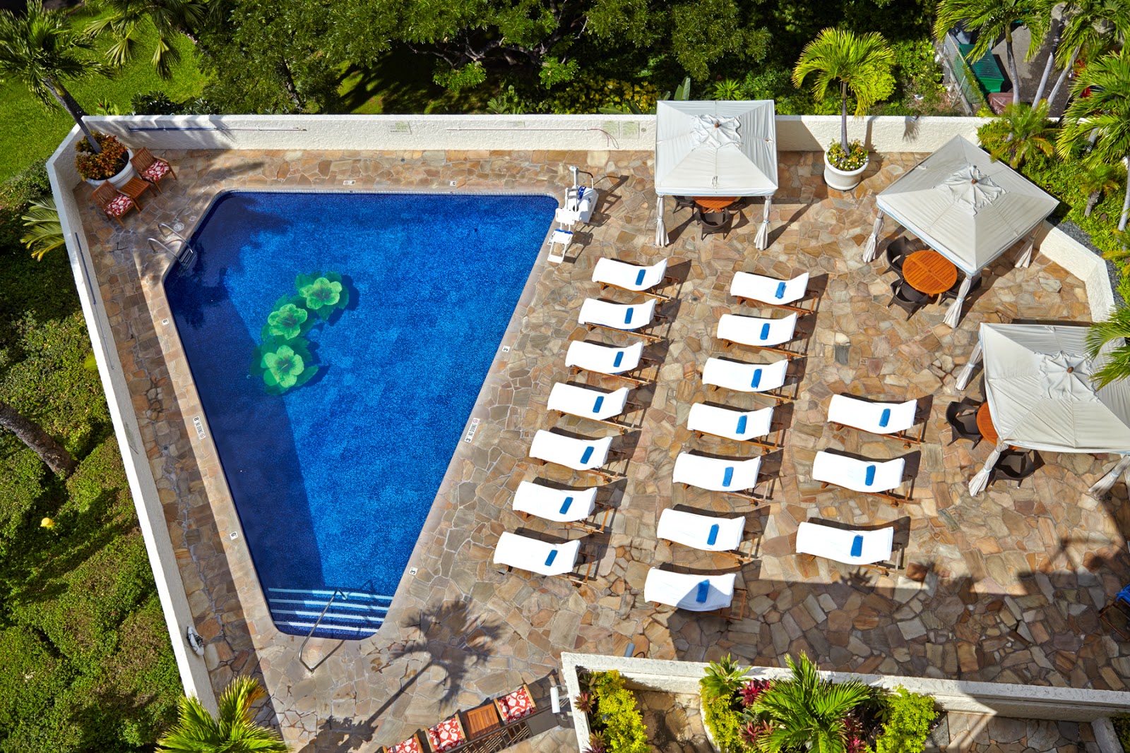 Everyday Hawaii (Deals) Luana Waikiki offers 99 kamaaina rate during