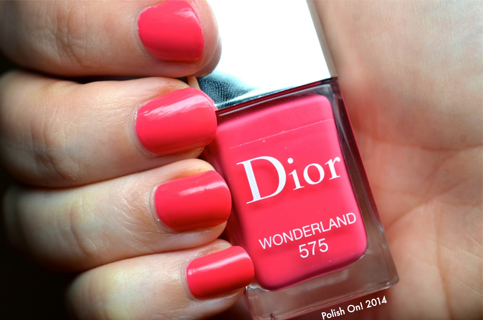 dior wonderland nail polish