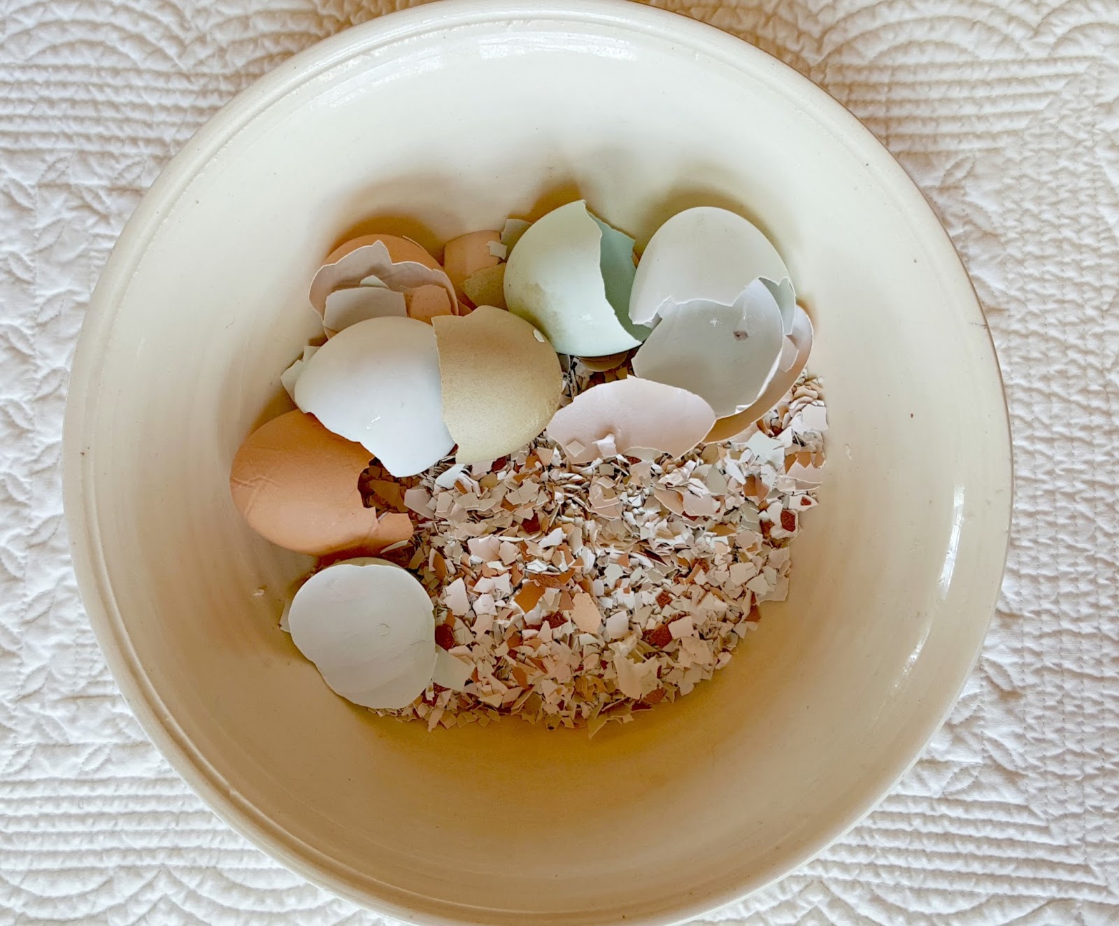 Crushed Eggshells as a Free Calcium Source for your Chickens Fresh
