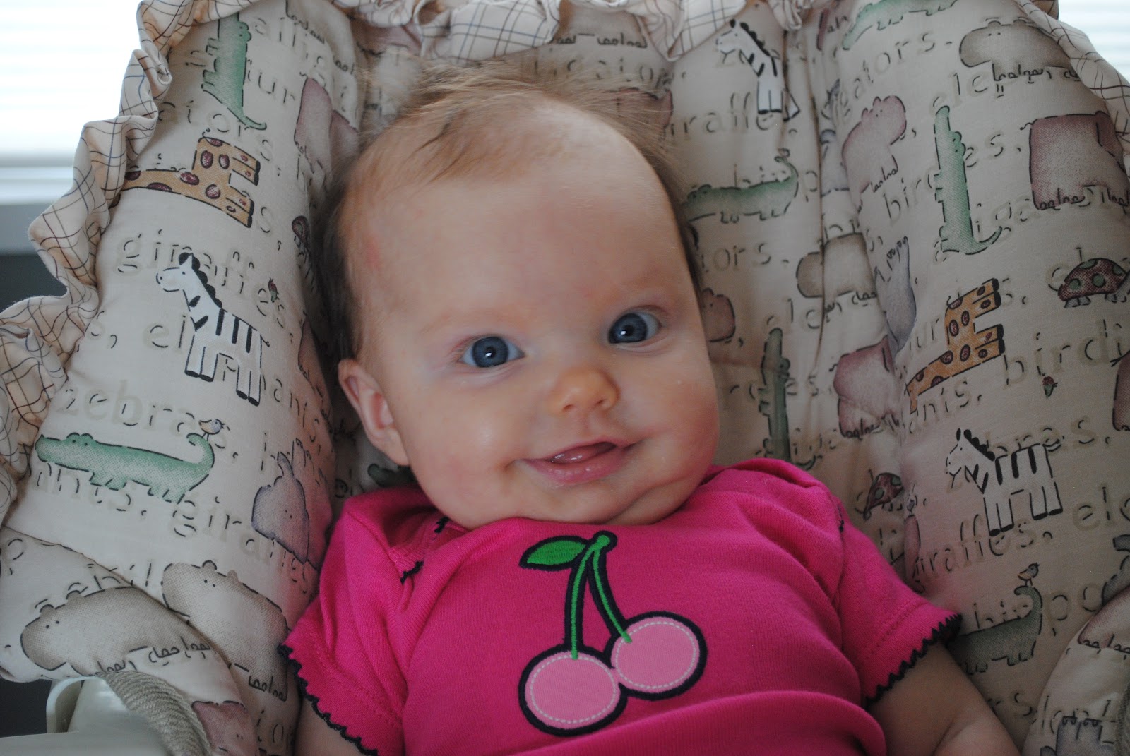 Berry Family Big 6 year old