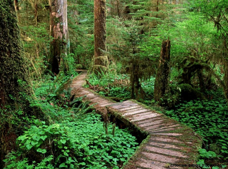 Vancouver Island Wallpapers  HD Wallpapers Base