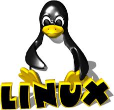 How to Copy file using linux Command