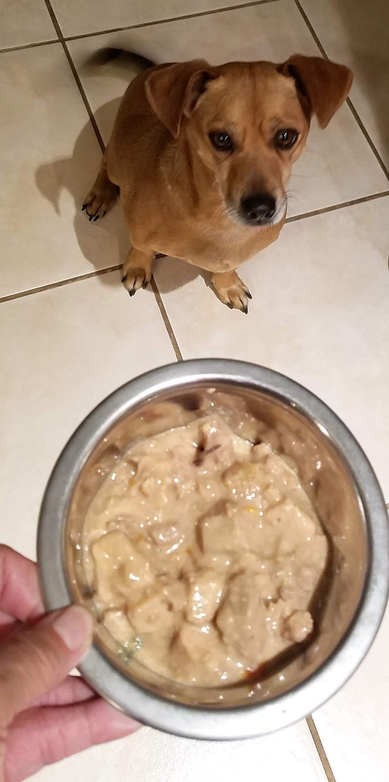 Frugal Shopping and More Merrick GrainFree Thanksgiving Day Dinner