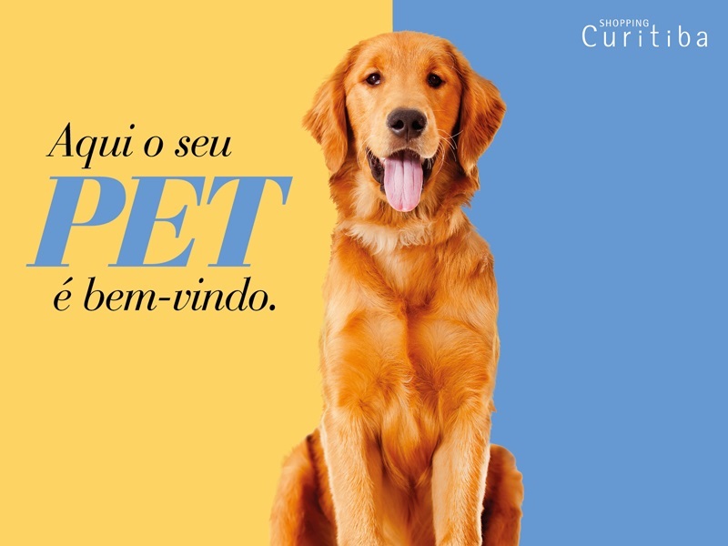 Shopping é o primeiro de Curitiba a aceitar animais de grande porte Shopping é o primeiro de Curitiba a aceitar animais de grande porte