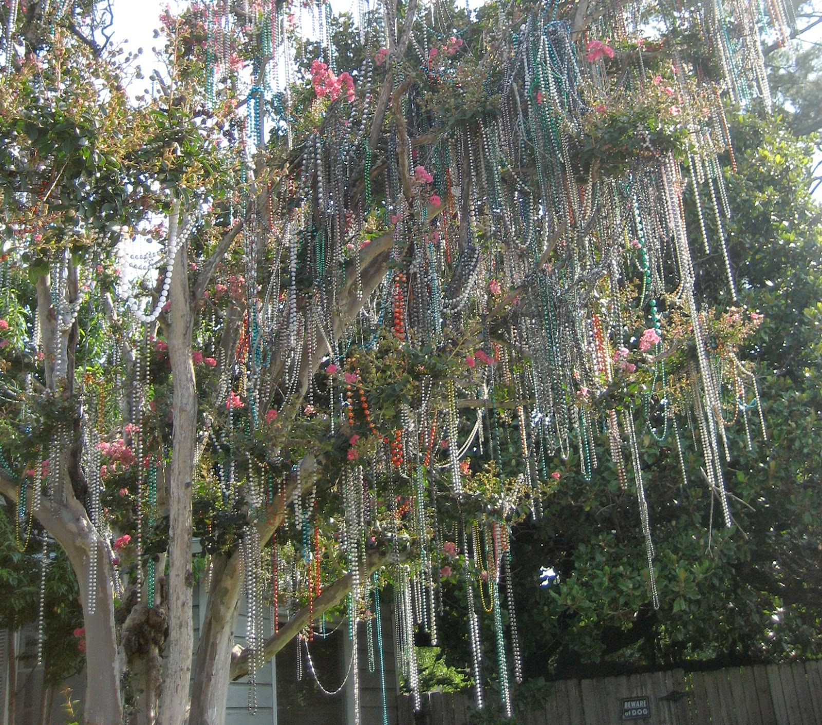 small mardi gras tree
