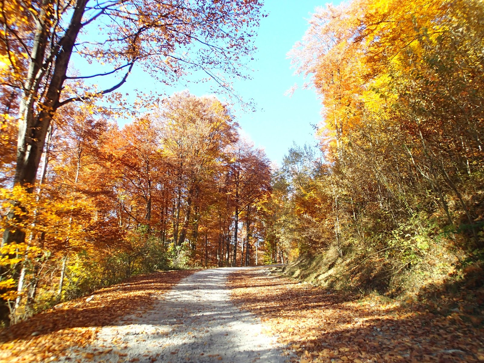 Hobby De Mamica Photo Responsabilitate Sociala Si Altele 