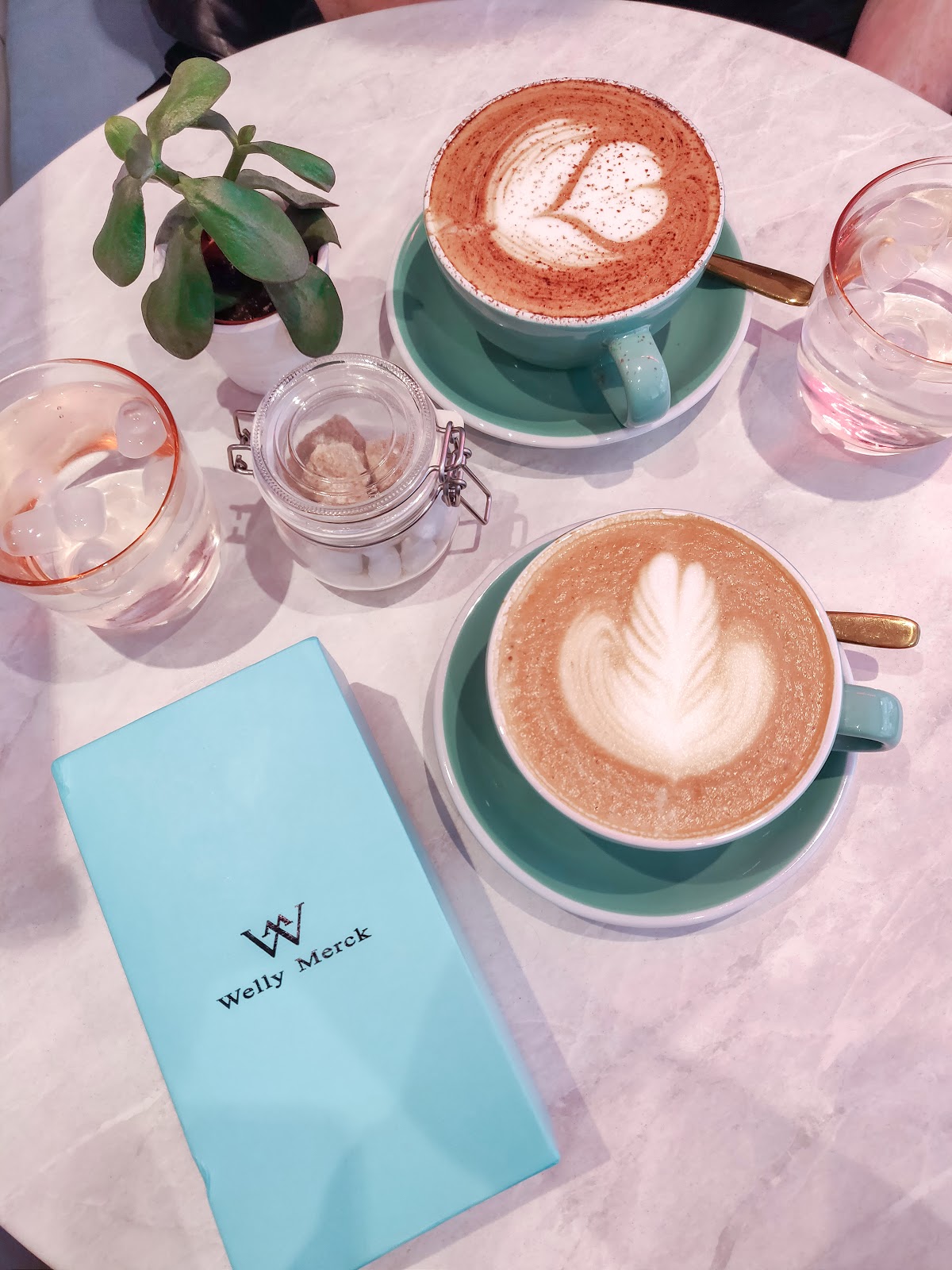 Welly Merck Watches and Discount Codes PHOSPHENES