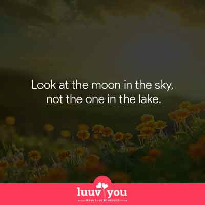 latest Rumi Quotes