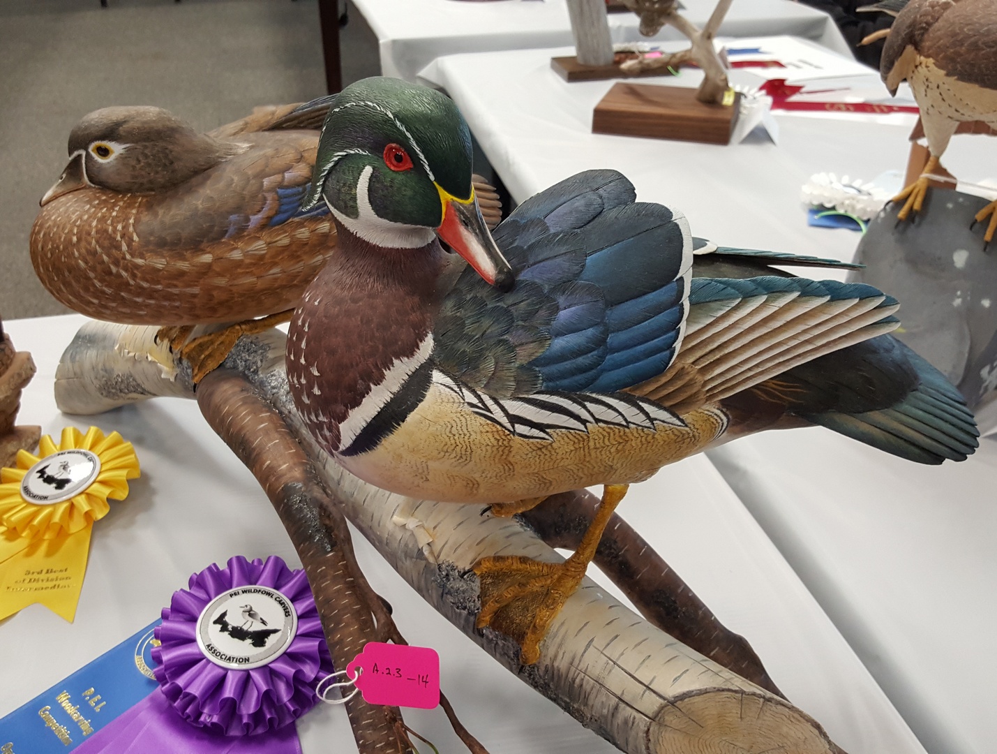 Ales the woodcarver Photos from PEI wood carving show and competition 2017