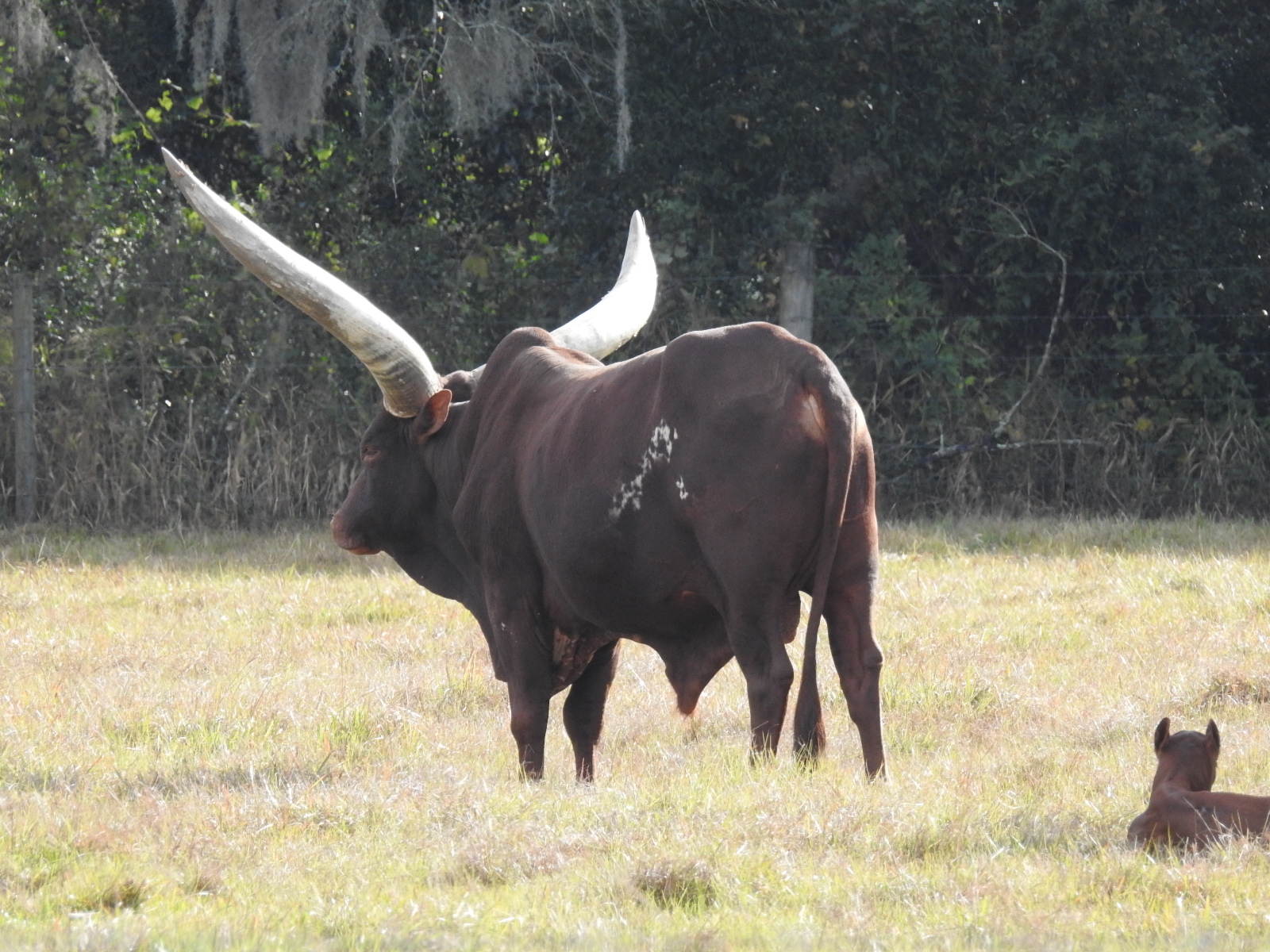 Traveling with Tucson Florida Week 3