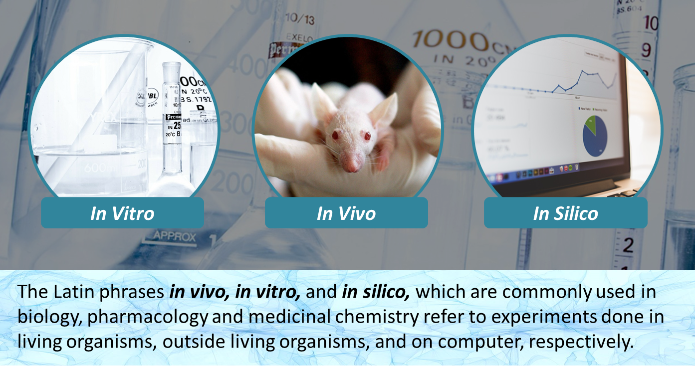In silico in vitro in vivo. Исследования in vivo и in vitro. In vivo и in vitro что это такое. Исследования in vivo, in vitro и in silico:.