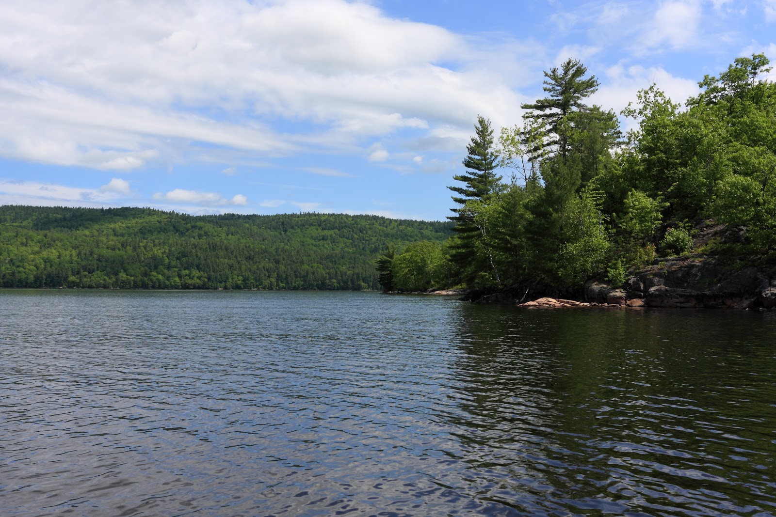 The Campsites Driftwood Ontario Provincial Park
