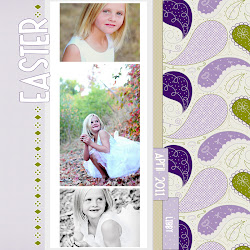 how to blur background in picasa 18