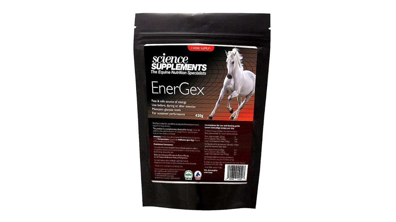 Horse Energy Supplements Horse Choices