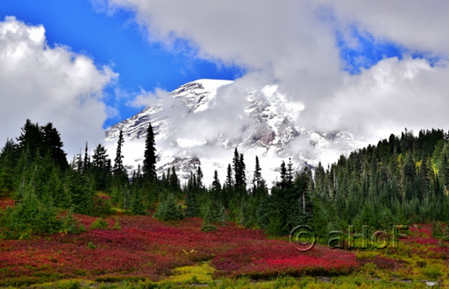 Mt. Rainier, Fall Color