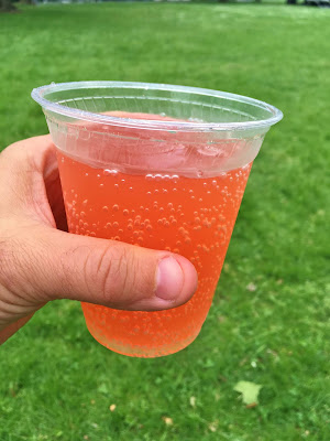 Glass of Bravazzi Hard Italian Soda