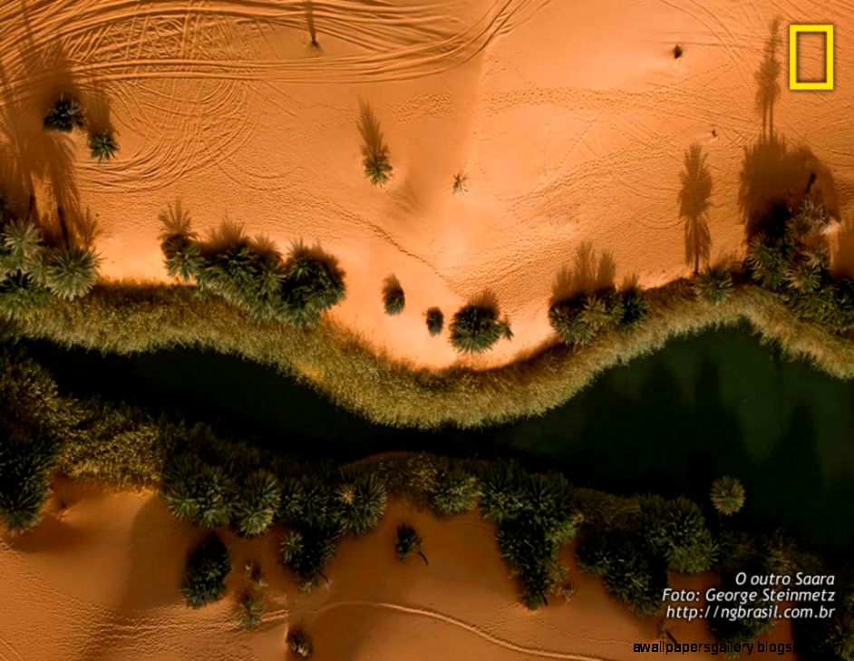 Sahara Desert Oasis Locations Wallpapers Gallery