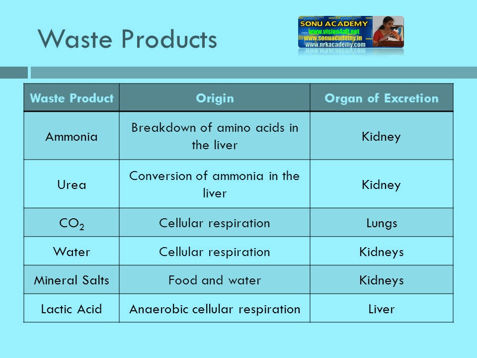 SONU ACADEMY EXCRETION IN PLANTSTEXT