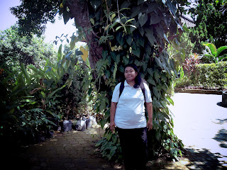 One Of The Garden Place Area In The Brahmavihara Arama Monastery North Bali