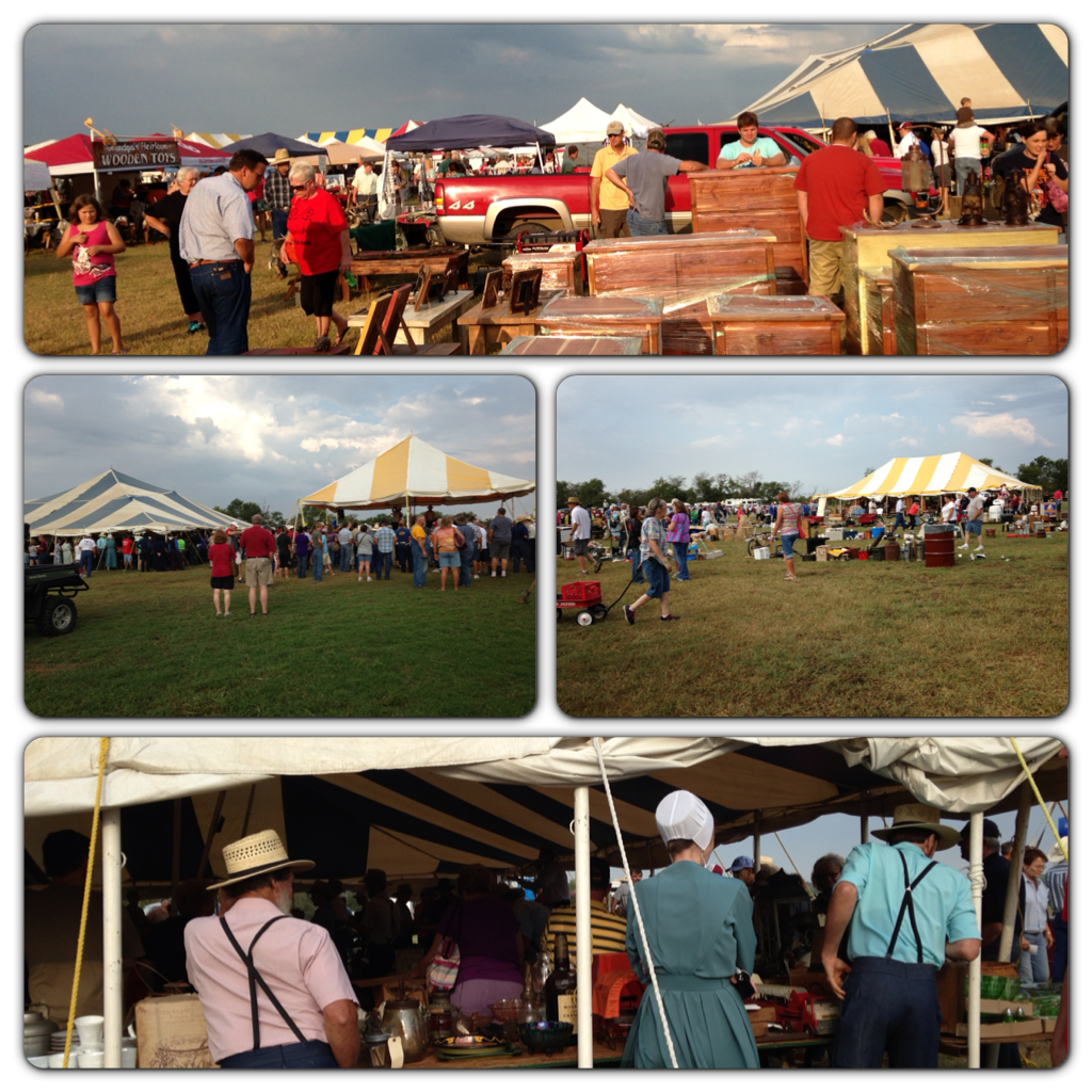 Albrechts Annual Amish Auction