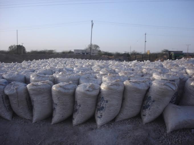 Gandhi’s Gujarat retaliates, forms Namak Satyagraha Samiti to fight