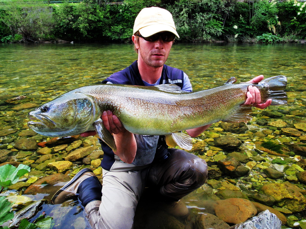 Fishing In Croatia (and in the neighbourhood) Remarkable Marble trout
