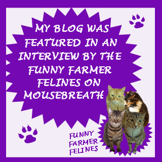 Mousebreath interview