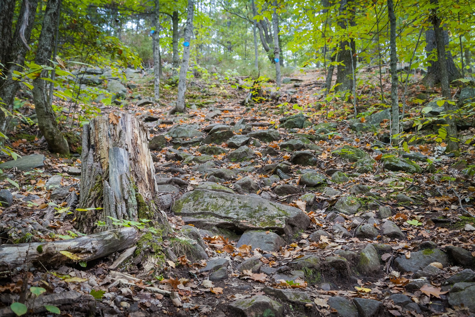 Take a Rest at Restoule Provincial Park Explore the World with Simon