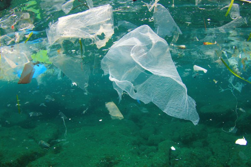 contaminación de aguas por las bolsas plásticas