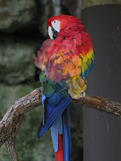 Photo Overlay; Mode Normal; Opacity 50% Photo Overlay; Mode Normal; Opacity 50%