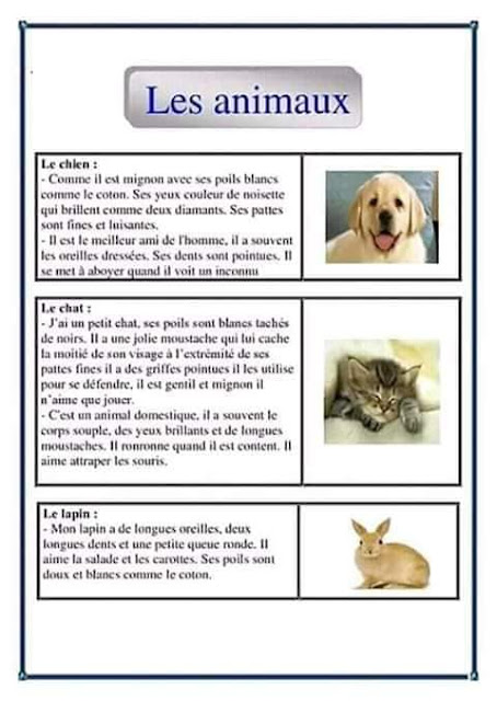 وضعيات ادماجية حول الحيوانات مادة اللغة الفرنسية السنة الخامسة ابتدائي الجيل الثاني