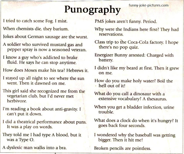 Funny Puns Punography Picture