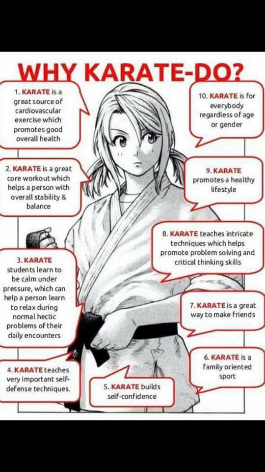 Alaska Children's Karate Aikido Kyudo Why study Karate