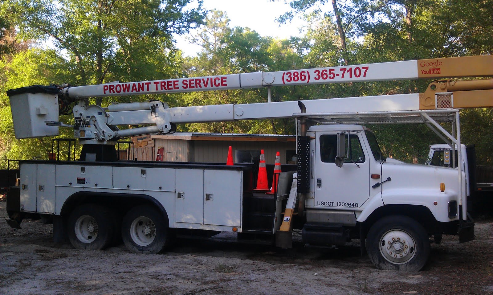 PROWANT TREE SERVICE 3863657107