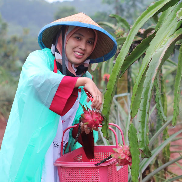 Kebun Agro Wisata di Subang Bentuk Sinergi Prudential dengan Dompet Dhuafa dalam Program Wakaf 