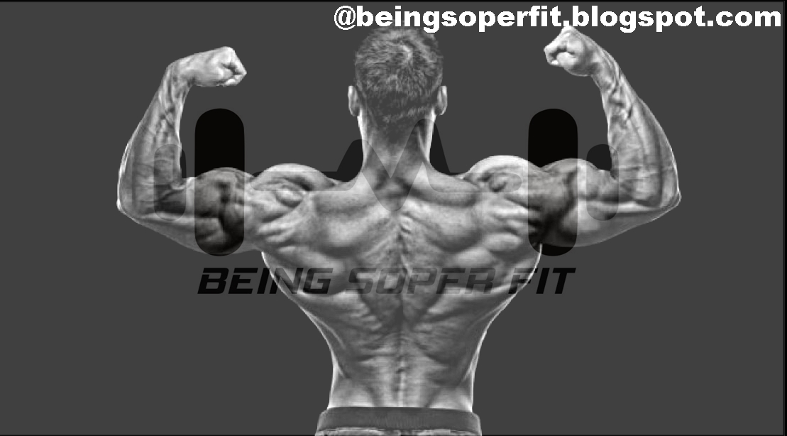 Best back muscles workout