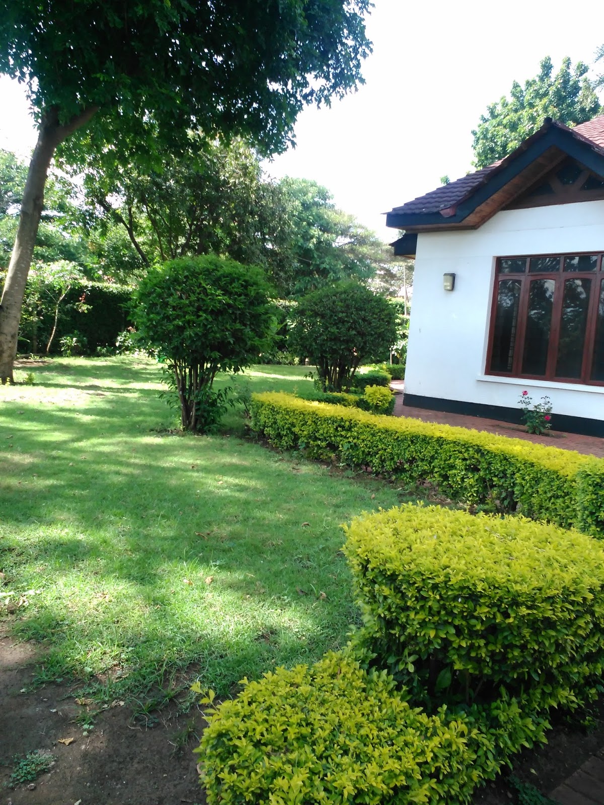 rent house in tanzania arusha rent houses, houses for sale
