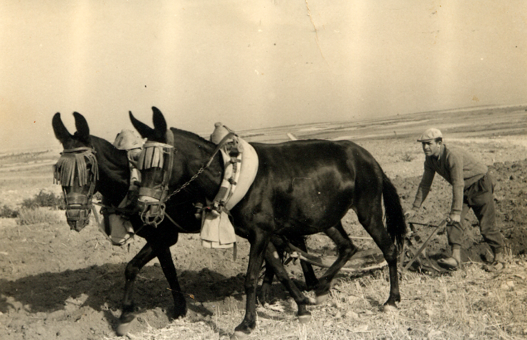 EL ESTANQUE DE LA MEMORIA POESÍA ACTUAL FOTOGRAFIA DE HONRUBIA (CUENCA)